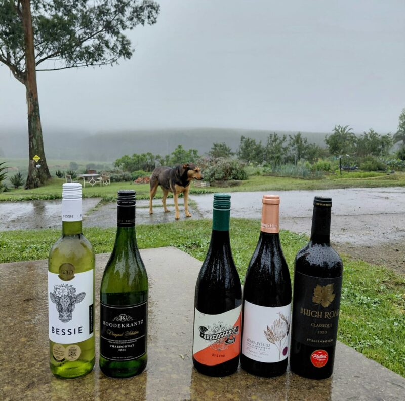 11 - NOVEMBER COLLECTION