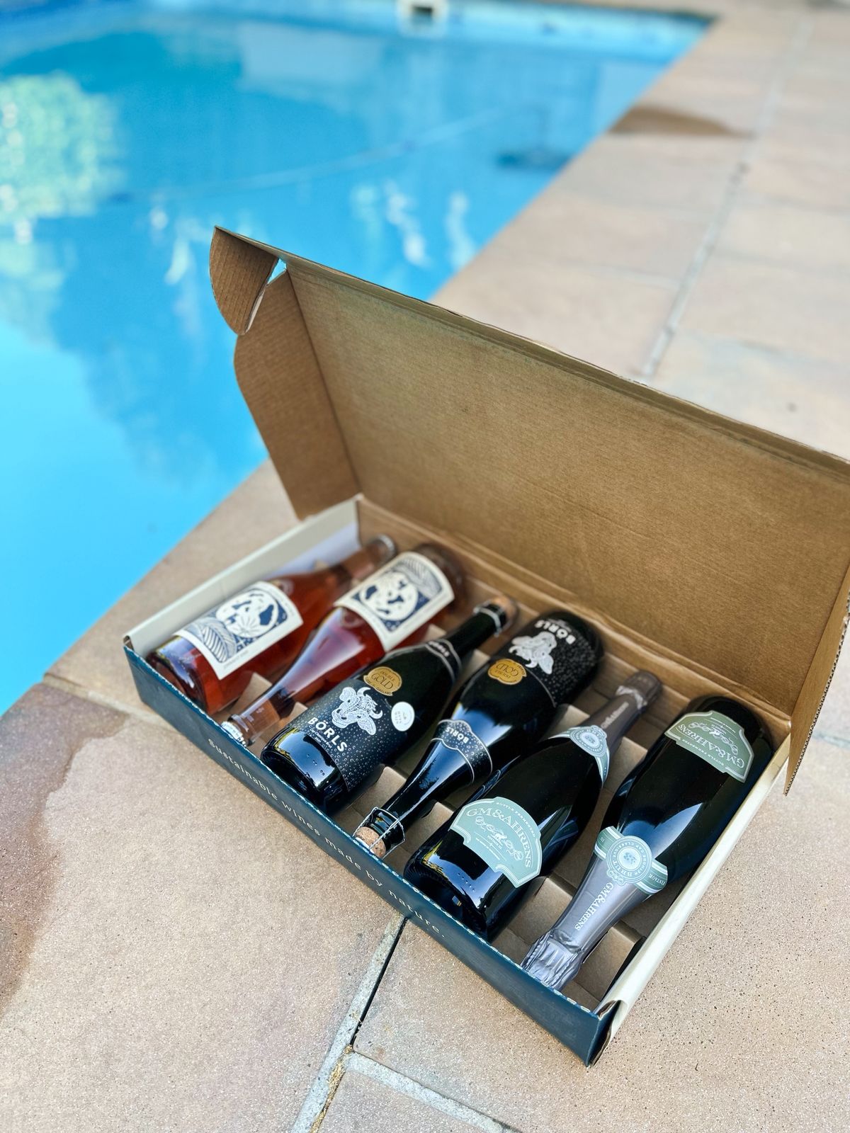 12.05 - DECEMBER SUMMER BUBBLY COLLECTION - 05 - Image 3