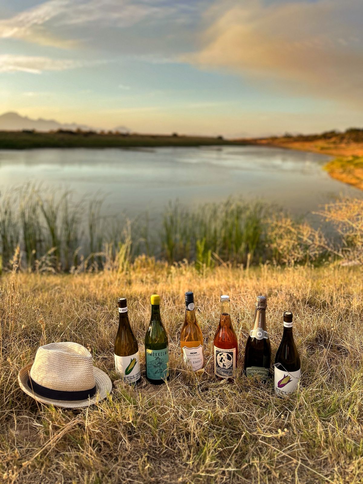 01 - HELLO 2026 COLLECTION