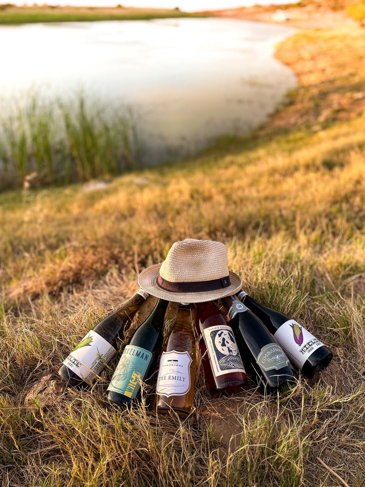 01 - HELLO 2026 COLLECTION - Image 2