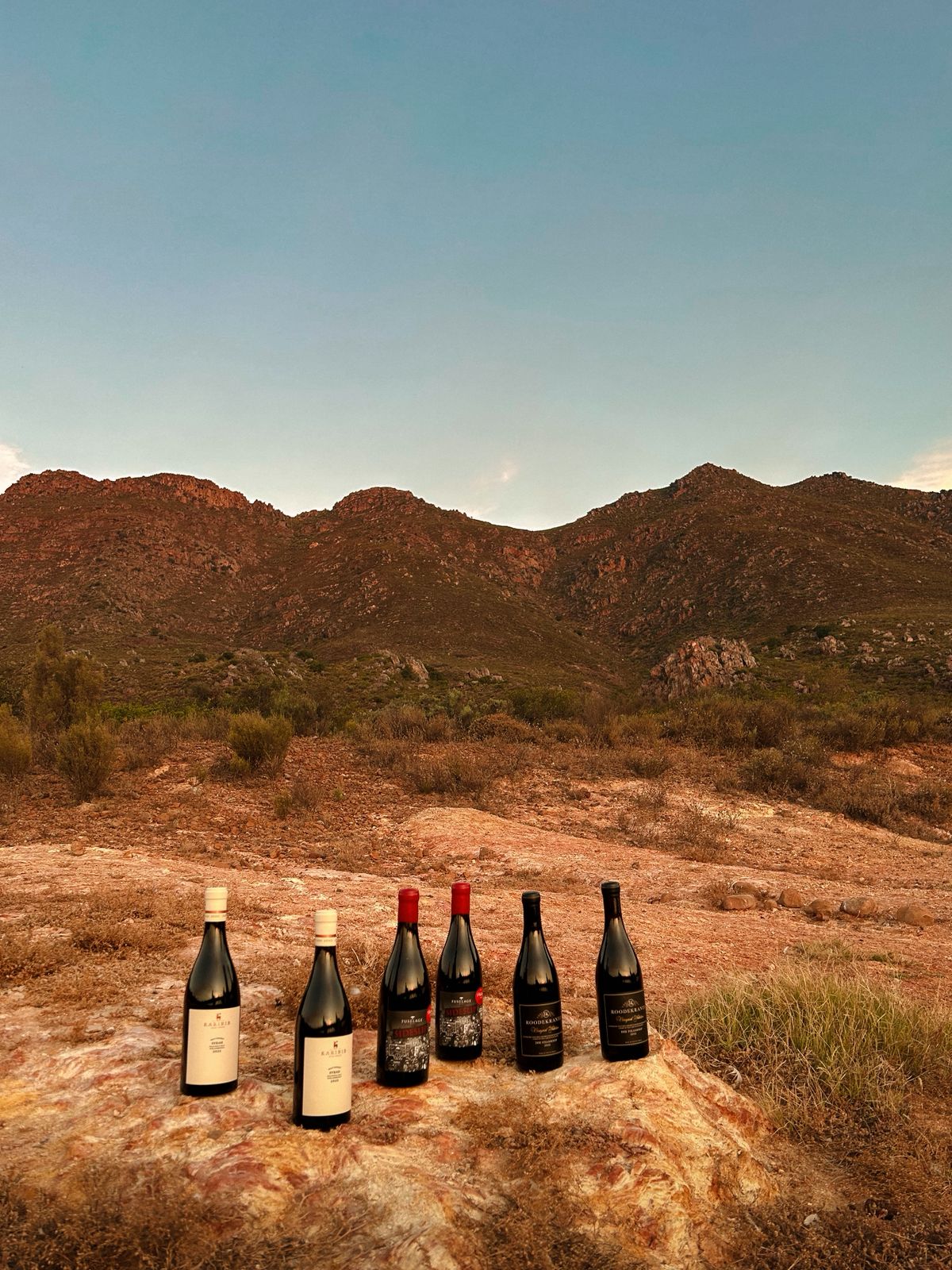 01 - CLUB-3000 SYRAH / SHIRAZ COLLECTION - Image 2